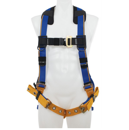Werner Fall Protection