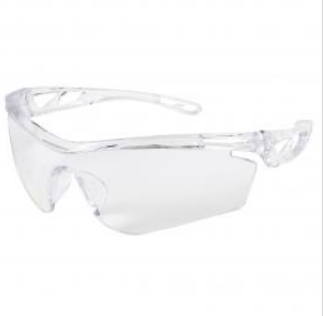 Clear Anti-Fog Safety Glasses: 31.80 box of 12-Dival